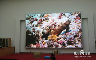 选择专业室内高清LED显示屏厂家 品质与创新的双重保障